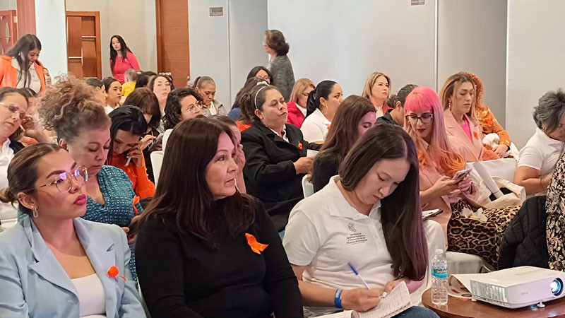 Institutos municipales de la mujer carecen de oficinas dignas, apunta titular de la Seimujer 