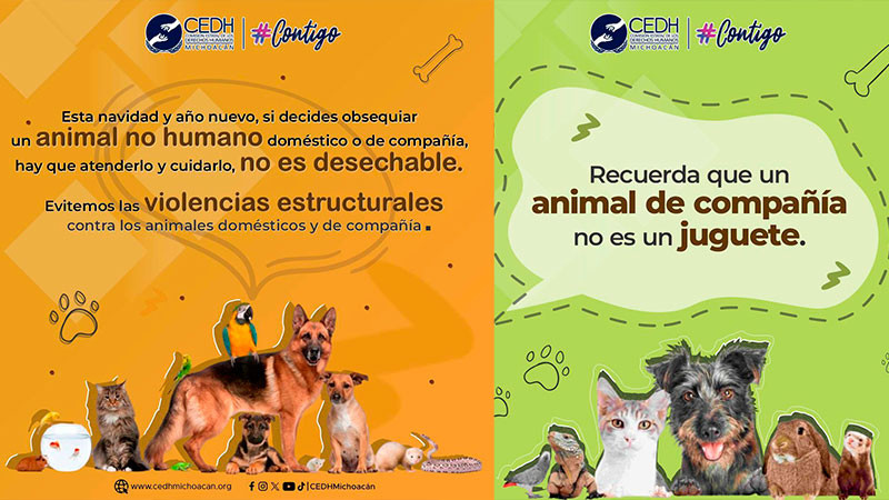 Llama CEDH Michoacán a la responsabilidad si se regalan animales de compañía en estas fechas 