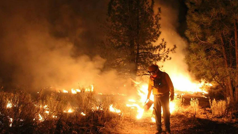 Evacuaciones masivas en Malibú por incendio forestal 