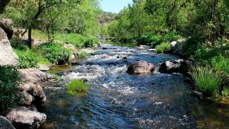 Localizan cuerpo de un niño flotando en río de Guerrero 