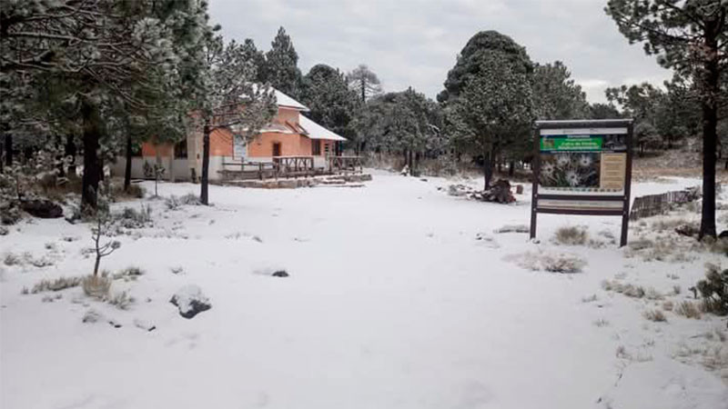 Cae primera nevada del año en el Cofre de Perote, Veracruz  