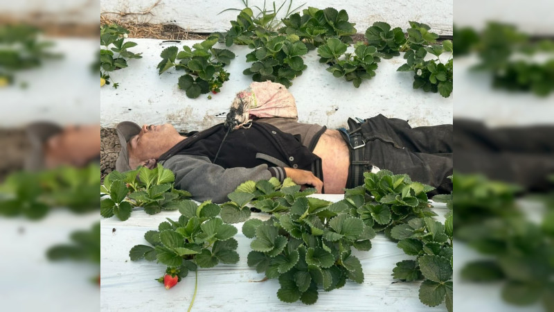 Matan a campesino en Zamora, Michoacán 