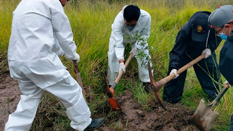 Suman 17 cuerpos hallados en fosas clandestinas en Chiapas 