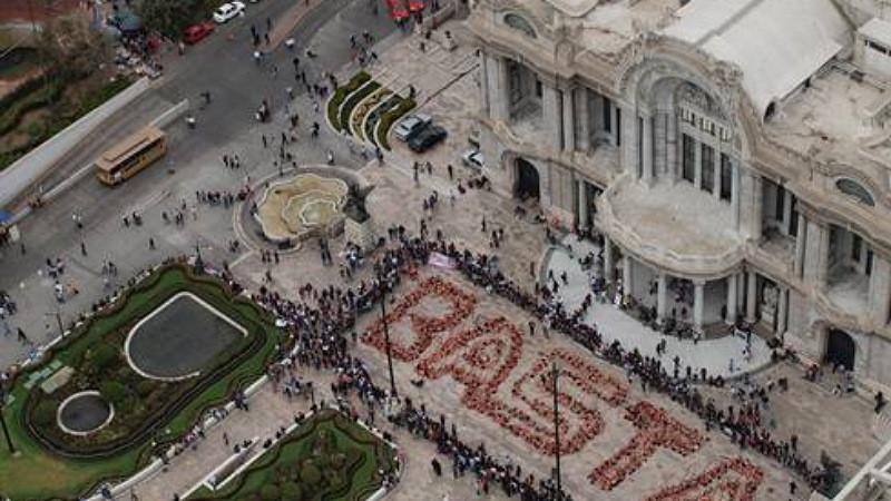 Uso de pirotecnia, una actividad retrógrada que autoridades temen prohibir por temor al costo político: AnimaNaturalis 