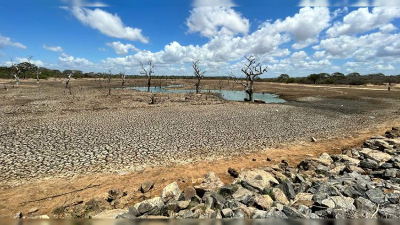 Cae llegada de aves migratorias a la zona del lago de Cuitzeo: activista 