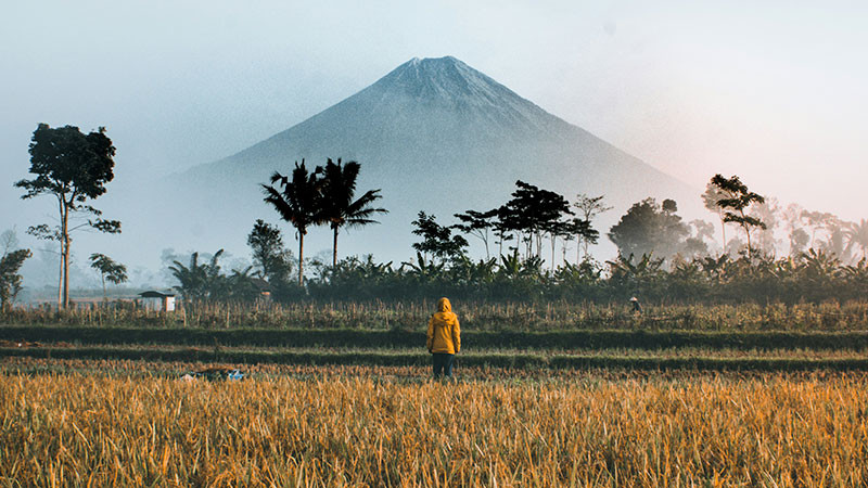 Indonesia se une al bloque liderado por Brasil, Rusia, India, China y Sudáfrica  