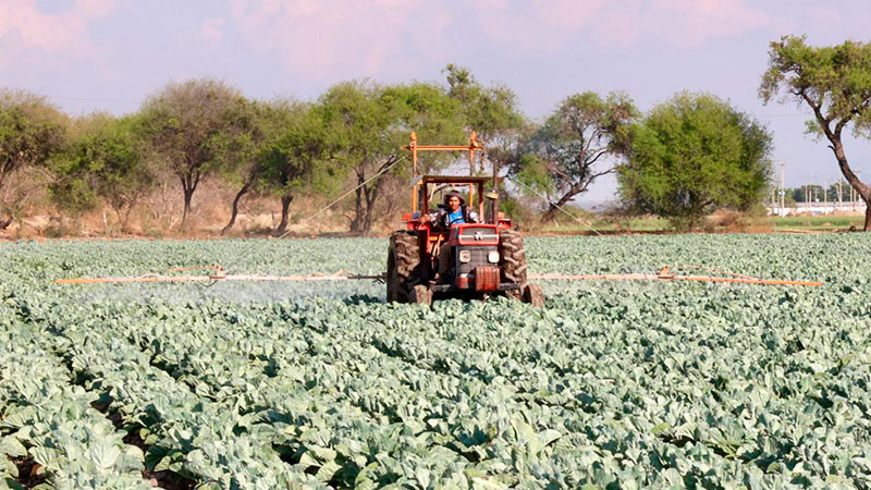 Incremento de más de 700% del saldo comercial agropecuario refleja la riqueza del campo nacional: SONAFI 