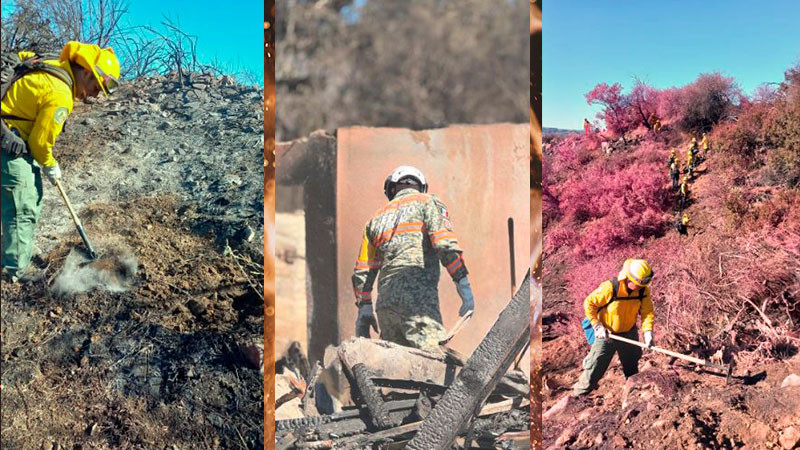 Delegación mexicana en Los Ángeles, California, reporta acciones de colaboración en el combate a incendios 