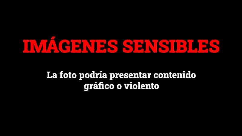 En Paníndicuaro se reporta otro caso de envenamiento masivo de perros; animalistas exigen investigación