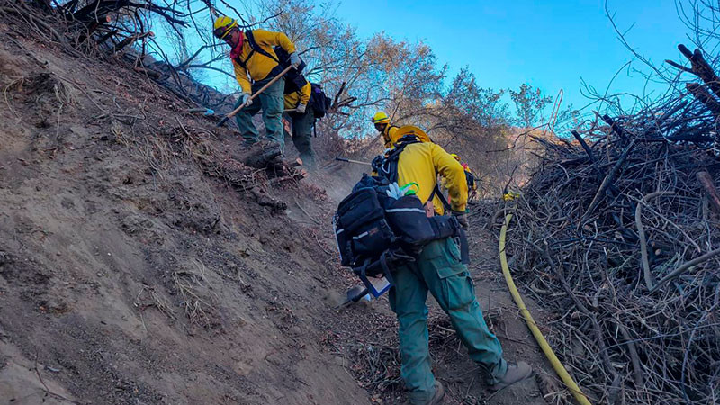 Delegación mexicana en California amplía brechas cortafuego y realiza acciones de búsqueda de posibles víctimas  