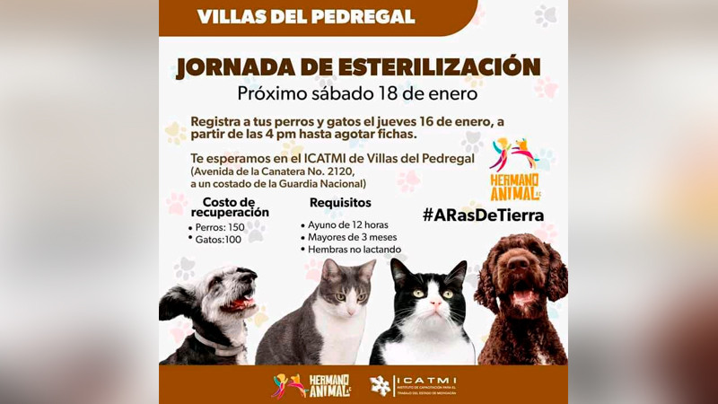 Morelia, Michoacán: Primera Feria de Esterilización 2025: Por un Futuro sin Abandono Animal 