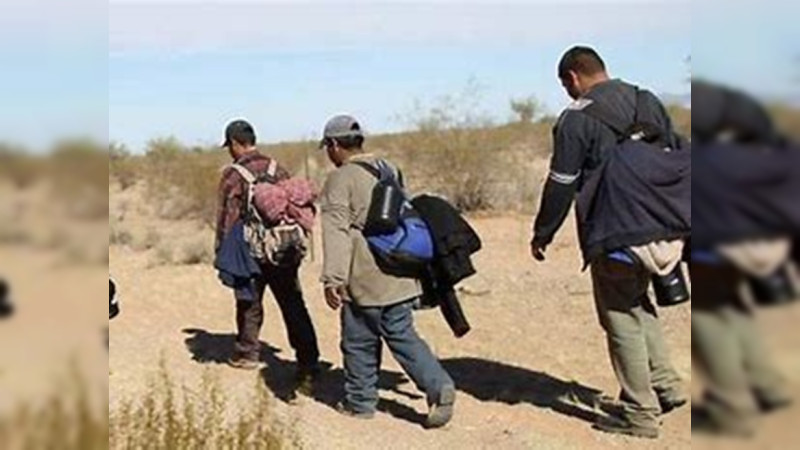 Operación de deportaciones se harán en varias ciudades, afirma Zar fronterizo de Trump 