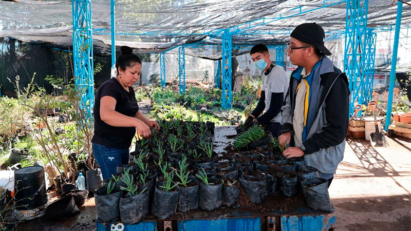 Vivero Municipal, pieza fundamental en la mejora de la imagen urbana de Morelia  