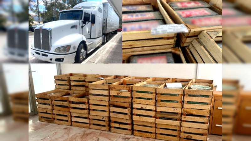 Dan 9 años de cárcel a sujeto que transportaba 660 kilos de cocaína ocultos bajo nopales, entre Michoacán y Guanajuato 