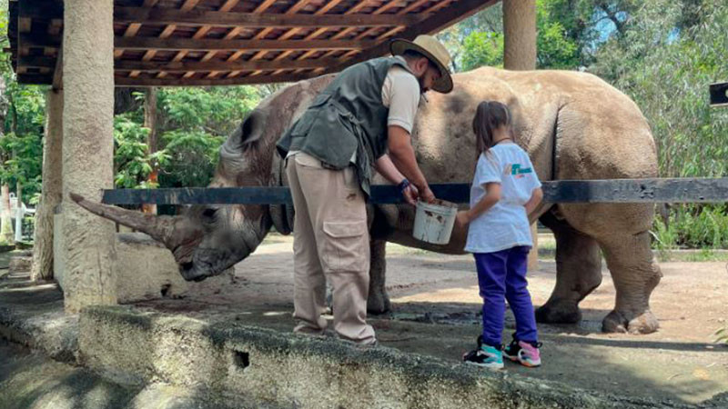 Los viernes son de aventura y diversión en el Zoológico de Morelia 