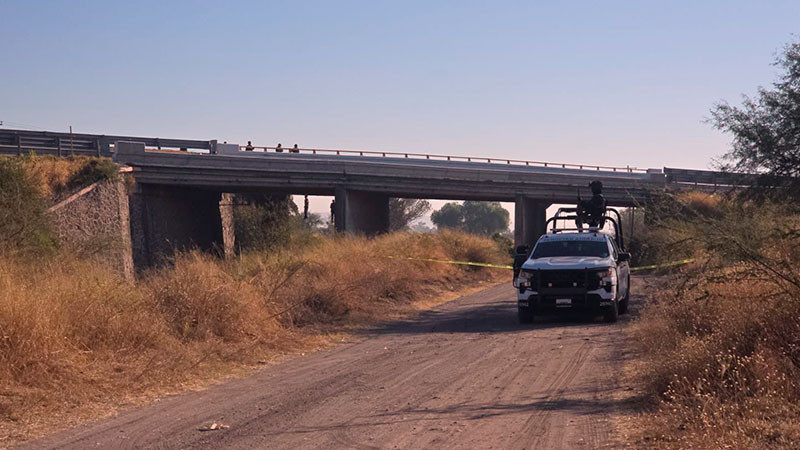 Automovilistas encuentran cuerpos abandonados en puente de autopista  