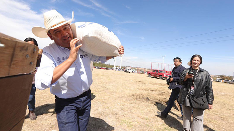 Apoya SEDEA a más de 5 mil familias del campo en Amealco de Bonfil con maíz 