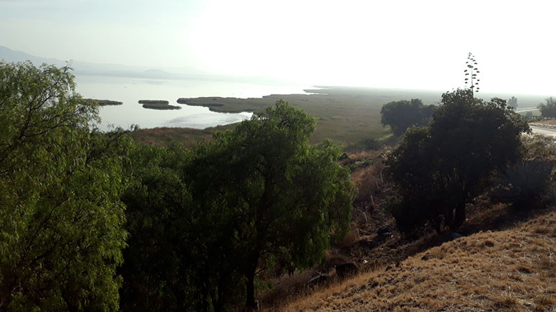 Humedales de Michoacán, reservas de vida y agua en peligro: científicos 