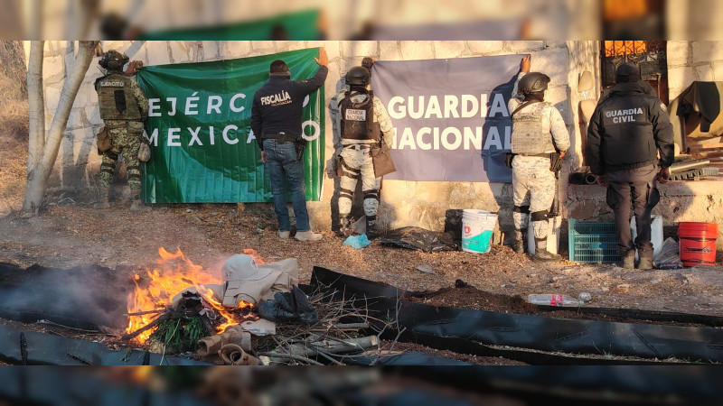 Aseguran explosivos, plantío y equipo táctico en la periferia de Morelia, Michoacán 