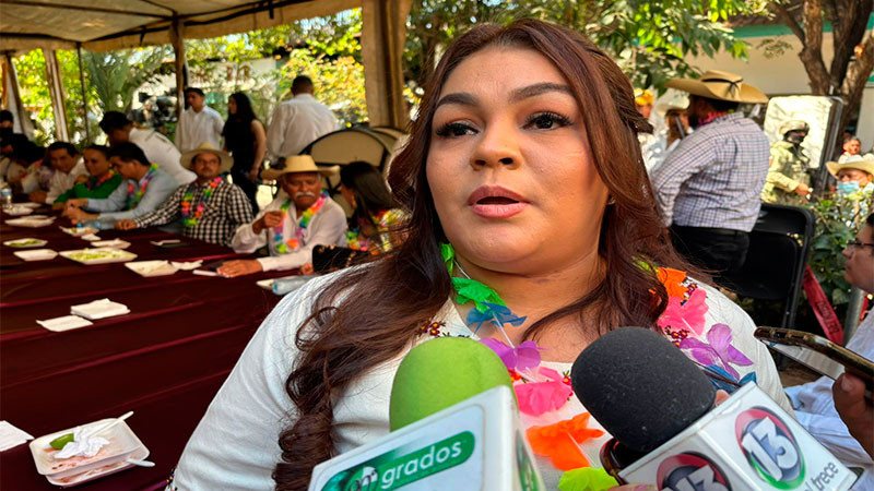 Director de seguridad de La Huacana había sido impuesto por el gobierno de Michoacán, afirma alcaldesa 