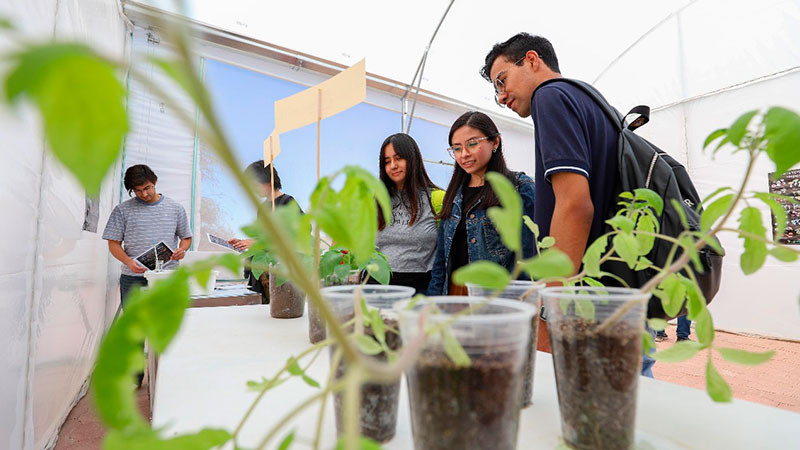 Inaugura UAQ Invernadero Experimental para estudiantes e investigadores 