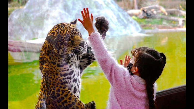 Reino Animal alcanza la más alta distinción en responsabilidad ambiental 