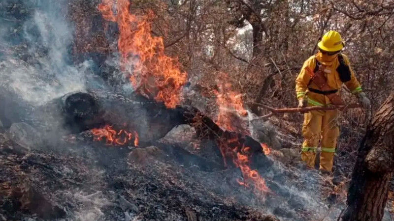 Conafor advierte que hay condiciones que favorecerán incendios; prepara 14 mil combatientes 