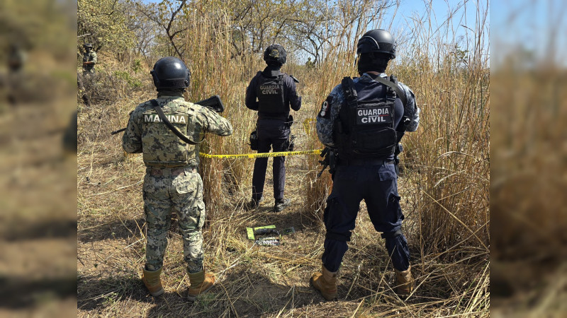 SSP desactiva explosivo para dron e inutiliza un aparato en Tumbiscatío, Michoacán 