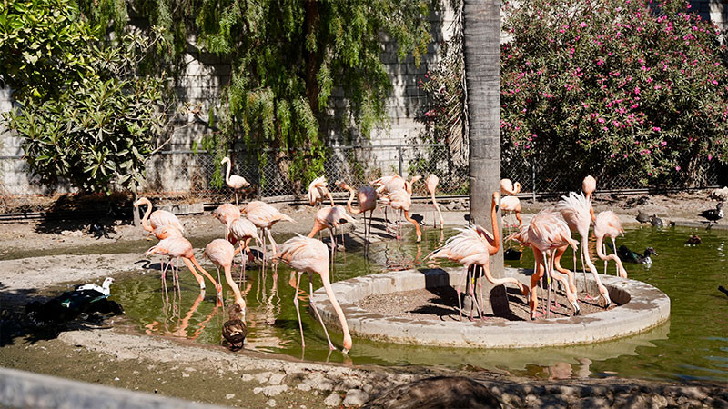 SEDESU, PEPMADU y Protección Civil realizan recorrido en el Parque Zoológico Wameru 