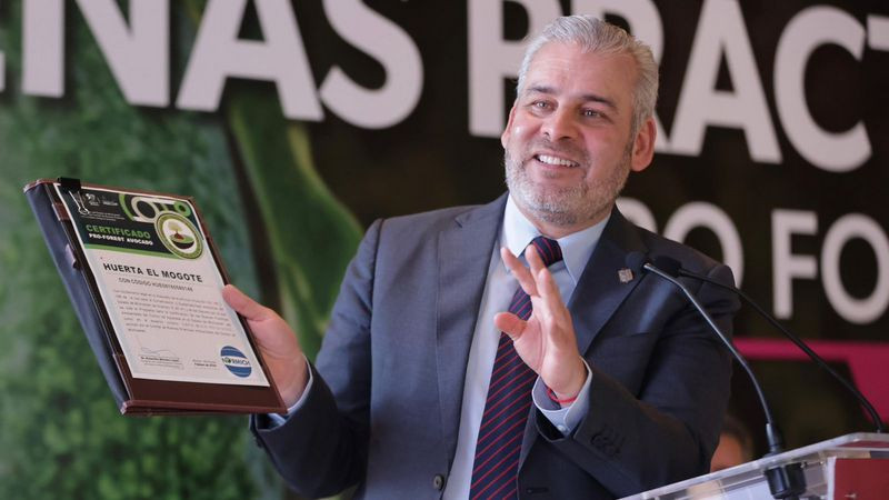 Comunidades indígenas, ejemplo en certificación de huertas de aguacate: Bedolla 