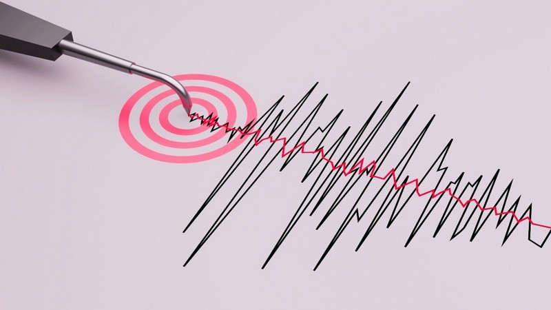 Sismo magnitud 4.8 sacude Guerrero; no se activó Alerta Sísmica 