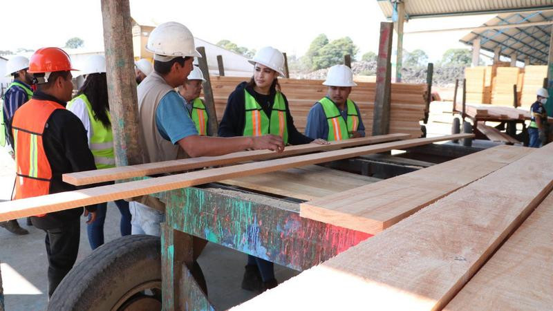 Reconoce Sandra Arreola el trabajo de sustentabilidad en Nuevo San Juan Parangaricutiro 