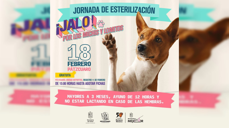 El martes comienzan esterilizaciones gratuitas en Pátzcuaro, Tarímbaro y Morelia 