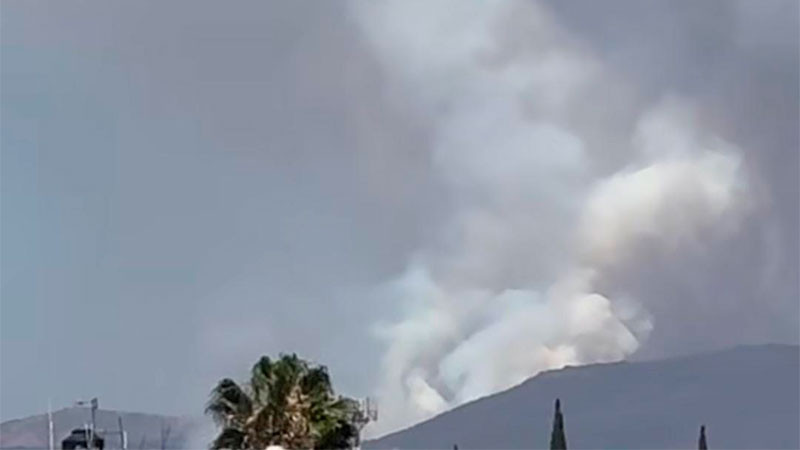 Controlan incendio en la Sierra de Lobos en León, Guanajuato 