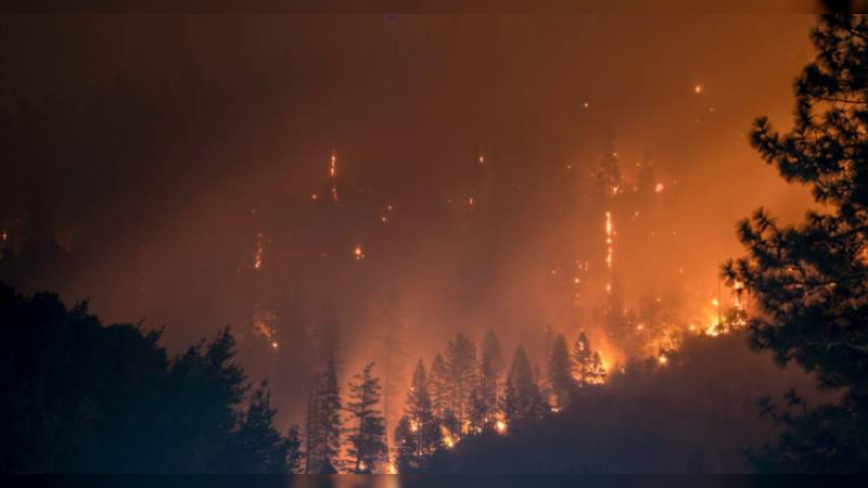 Van casi 1,500 hectáreas quemadas por incendios forestales en lo que va de 2025: COFOM 