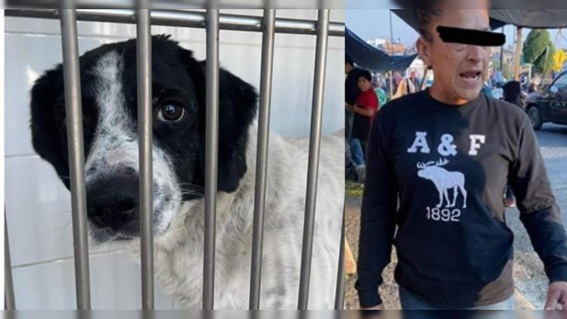 Arrestan a mujer por crueldad animal, en Zitácuaro, Michoacán 