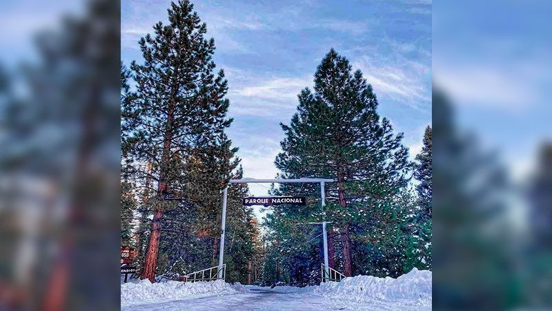  Se registran nevadas y temperaturas de -2 grados en Baja California 