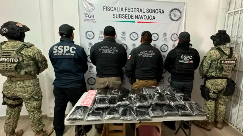 Hallan ocultos entre nopales 32 kilos de mortal estupefaciente, en Sonora: Golpe de 131 millones de pesos; detenido transportista 