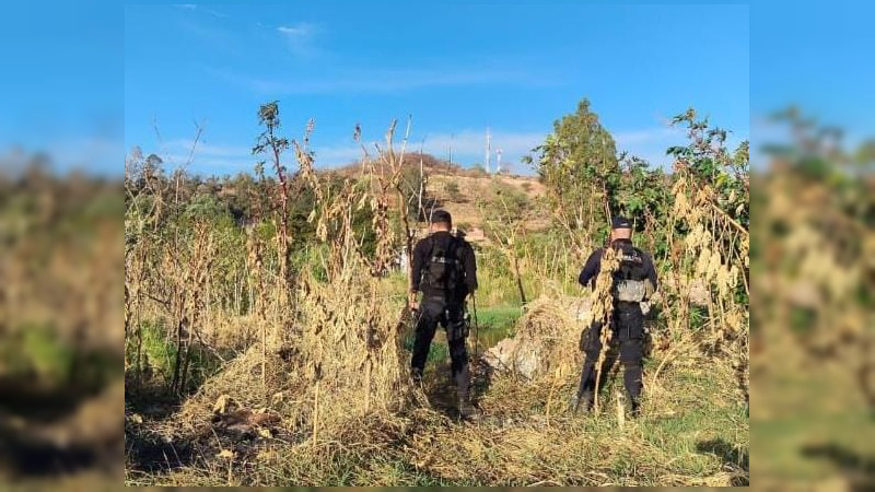 Hallan cadáver en Jacona, Michoacán