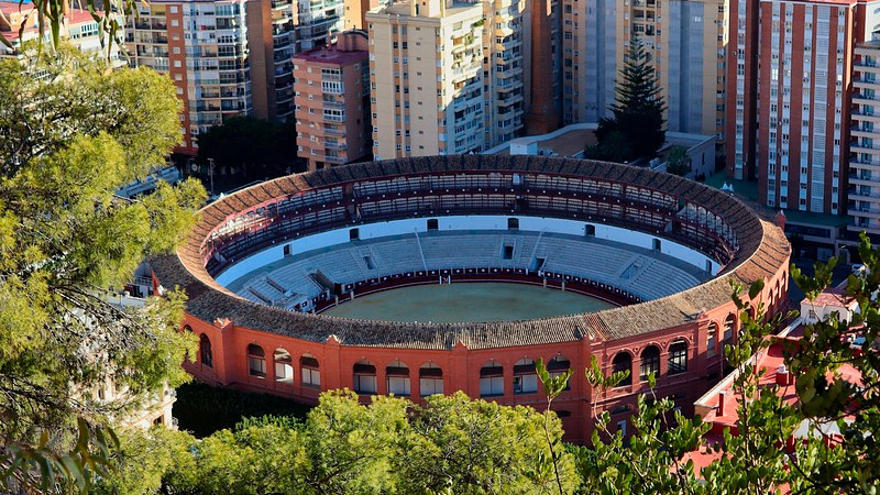 Es tiempo de revisar corridas de toros porque está prohibido maltratar animales, considera Sheinbaum 