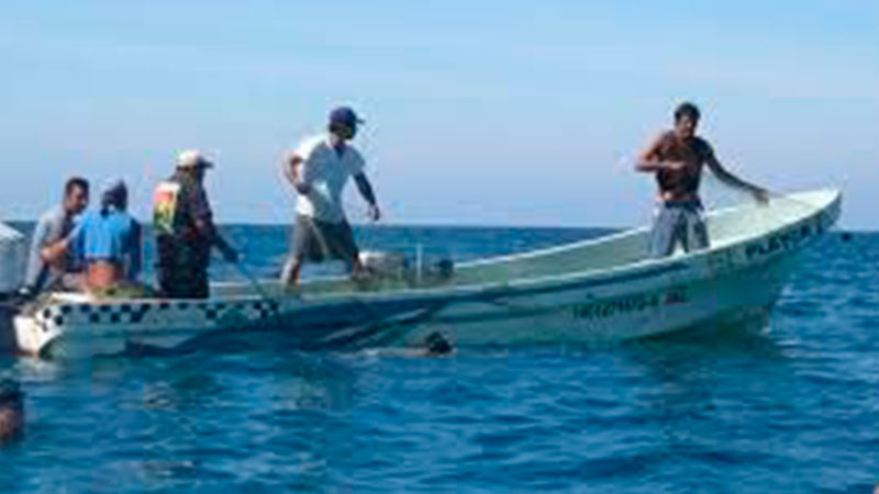 Pescadores de Lázaro Cárdenas encuentran poco producto en el mar 