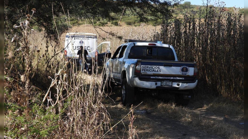 Michoacán un cementerio: en 2024 se hallaron cien cuerpos en 26 fosas clandestinas  