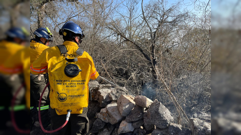 Controlado y sofocado el incendio forestal en La Tinaja mediante labores coordinadas por la CEPCQ 