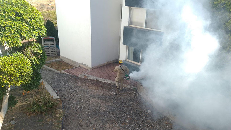 La Secretaría de Salud efectúa vigilancia epidemiológica del dengue en Querétaro 