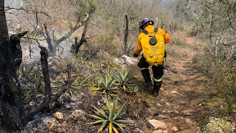 Mantiene Coordinación Estatal de Protección Civil de Querétaro labores coordinadas para atender incendio forestal en La Tinaja 