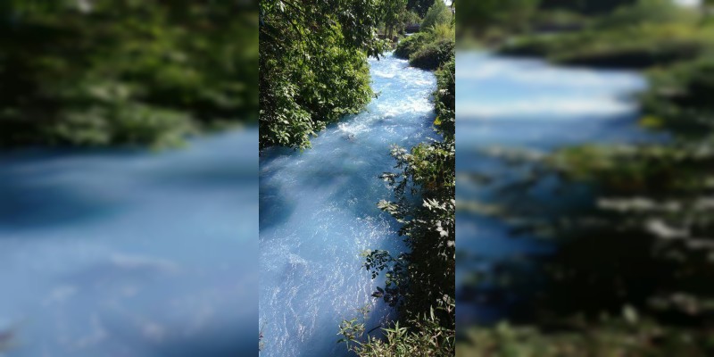 Detectan descargas ilegales en el río Cupatitzio de Uruapan, Michoacán - Foto 1 