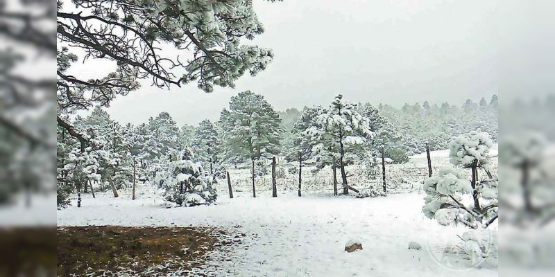 La nieve cubre a 10 municipios de Chihuahua 