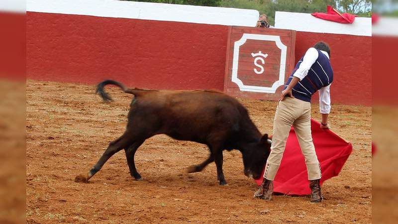 Pepe Lpez Tent En Campo Hermoso De Cara A La Corrida Del 30 En La