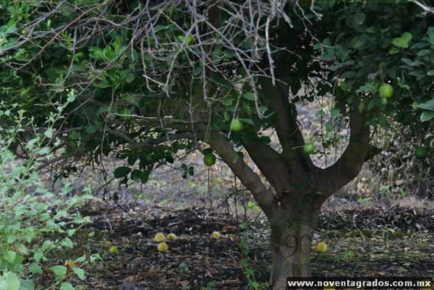 (Galería) El Varal, lugar donde presuntamente dieron muerte a El Tísico - Foto 8 